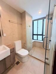 Holland Link (D10), Terrace #556148401